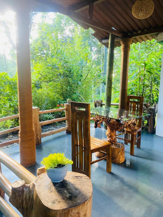 Treetops เอลลา ภายนอก รูปภาพ