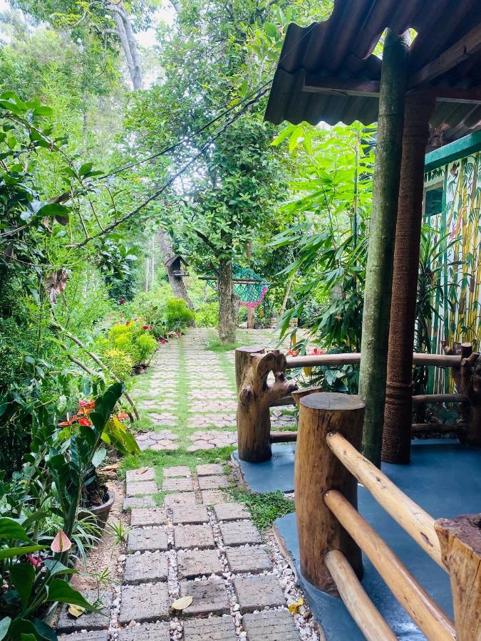 Treetops เอลลา ภายนอก รูปภาพ