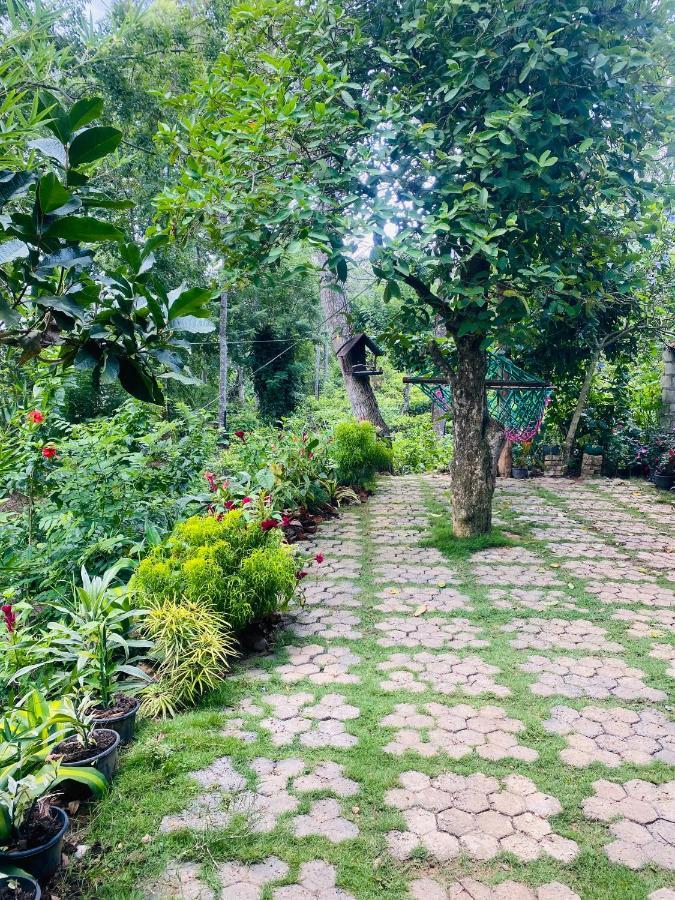 Treetops เอลลา ภายนอก รูปภาพ