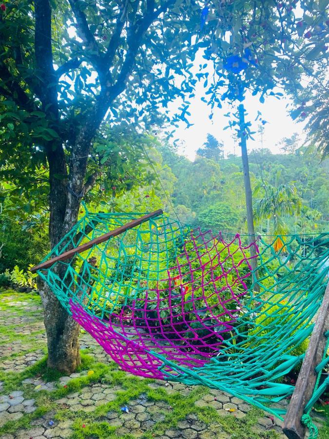 Treetops เอลลา ภายนอก รูปภาพ