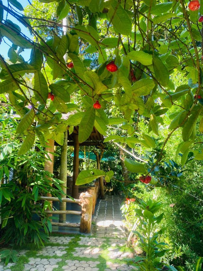 Treetops เอลลา ภายนอก รูปภาพ