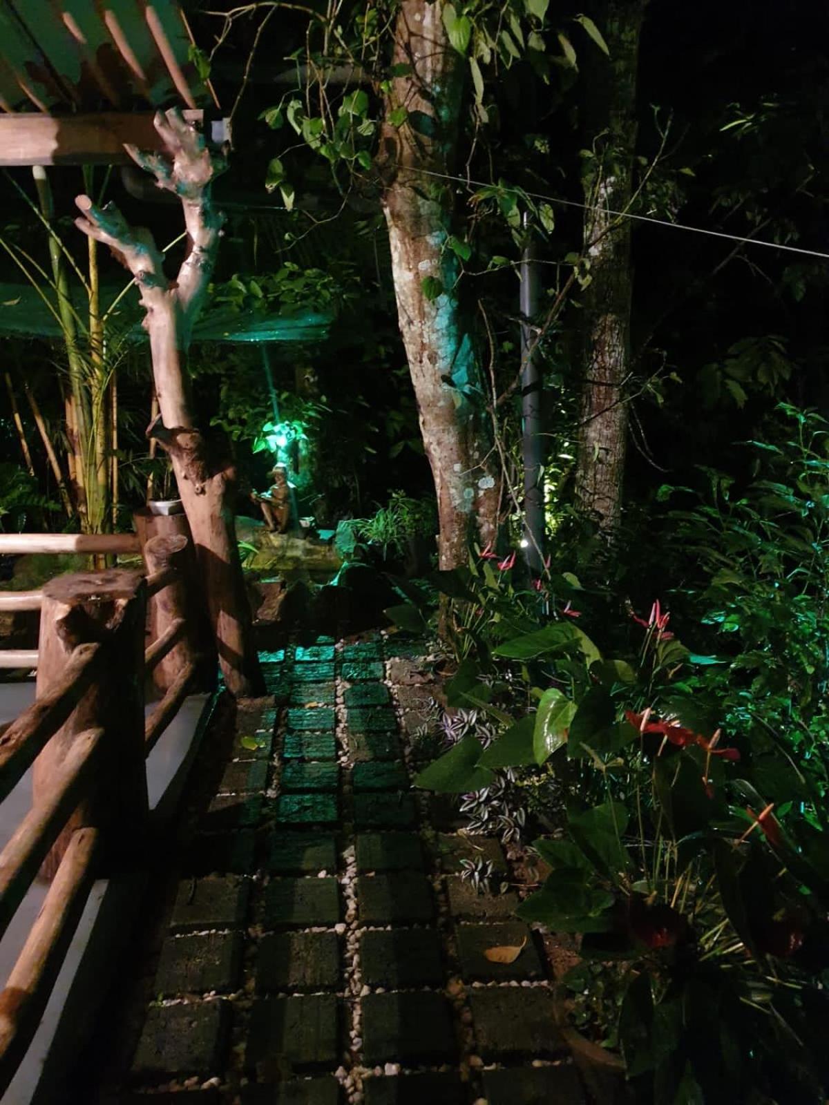 Treetops เอลลา ภายนอก รูปภาพ