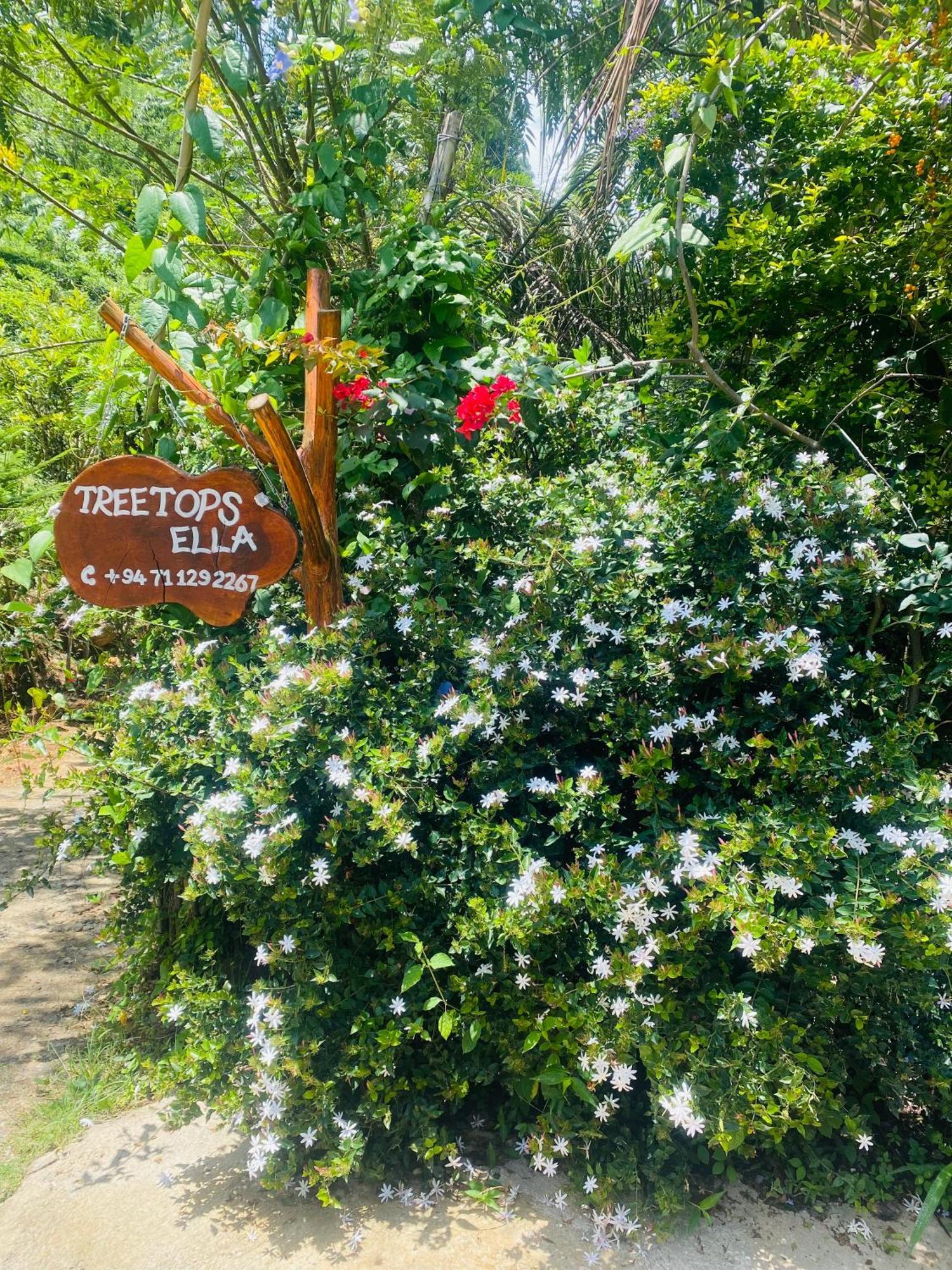 Treetops เอลลา ภายนอก รูปภาพ