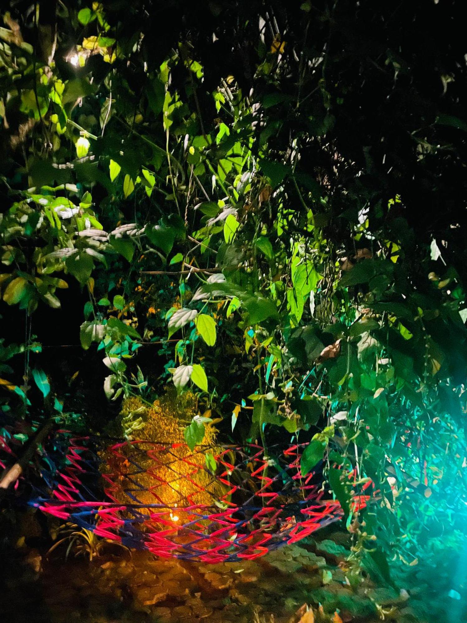 Treetops เอลลา ภายนอก รูปภาพ
