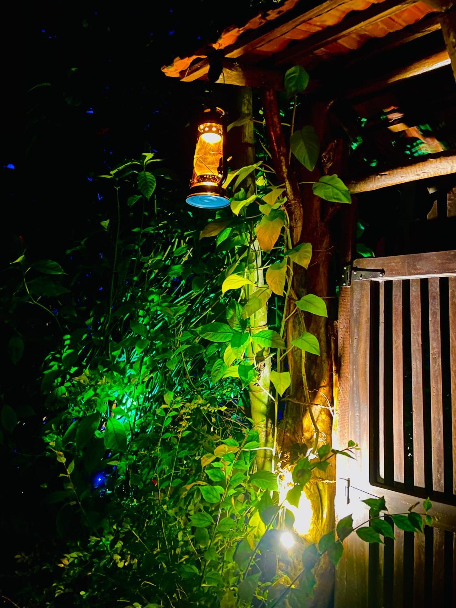 Treetops เอลลา ภายนอก รูปภาพ