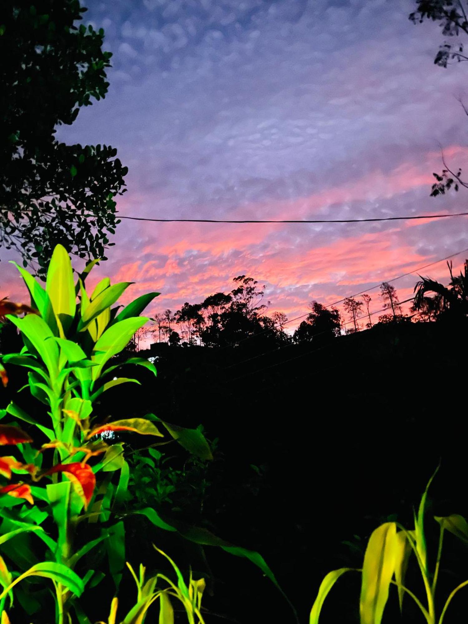 Treetops เอลลา ภายนอก รูปภาพ